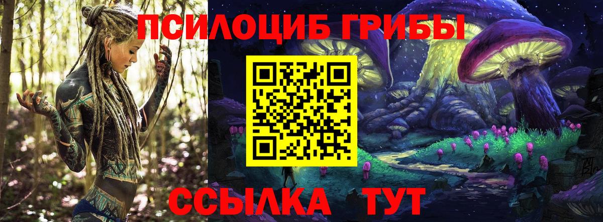 Галлюциногенные грибы MAGIC MUSHROOMS  Галлюциногенные грибы мицелий  где продают   Шахты  Вход с VPN 